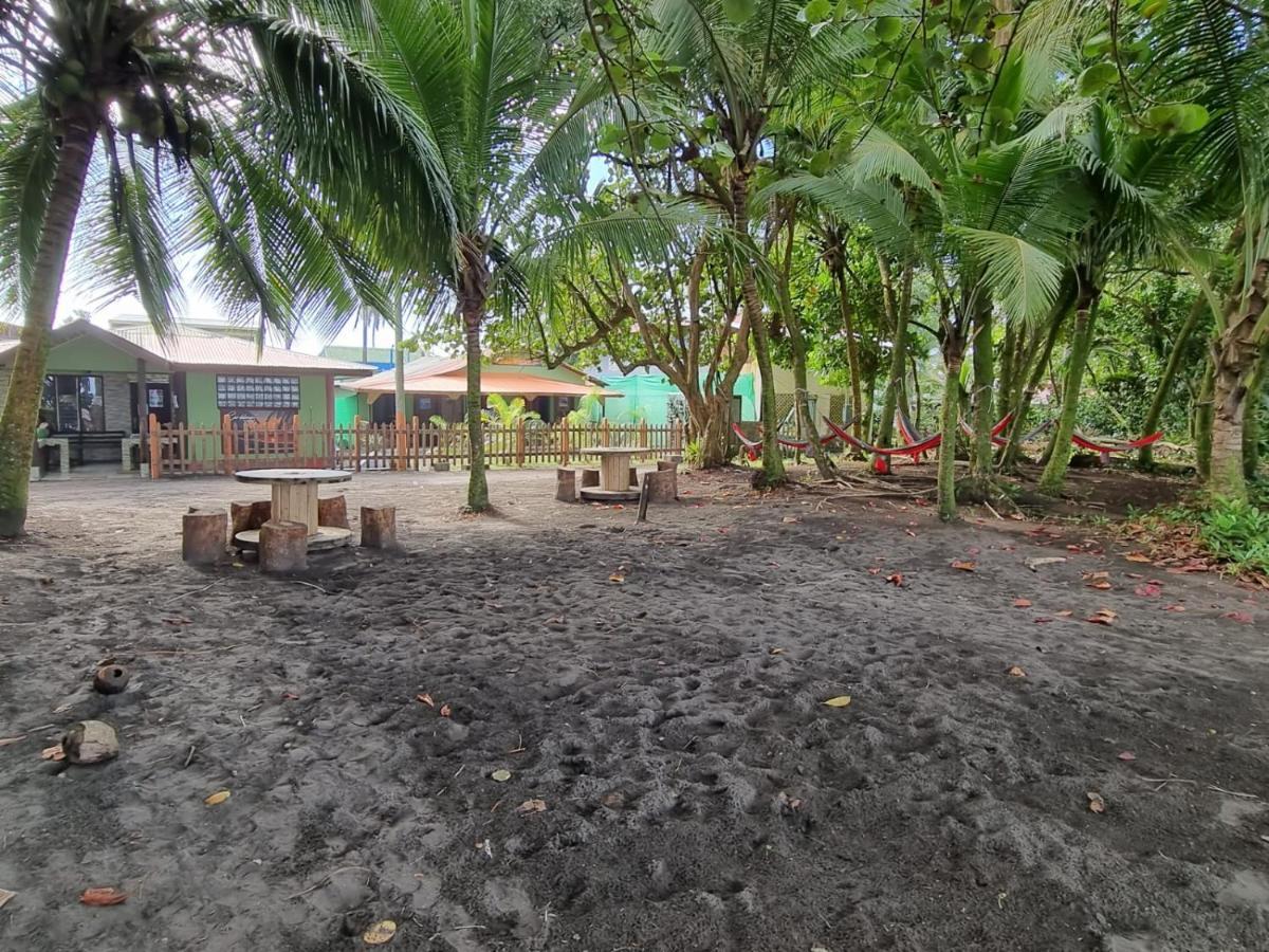 Caribbean View Apartment Tortuguero Exterior photo
