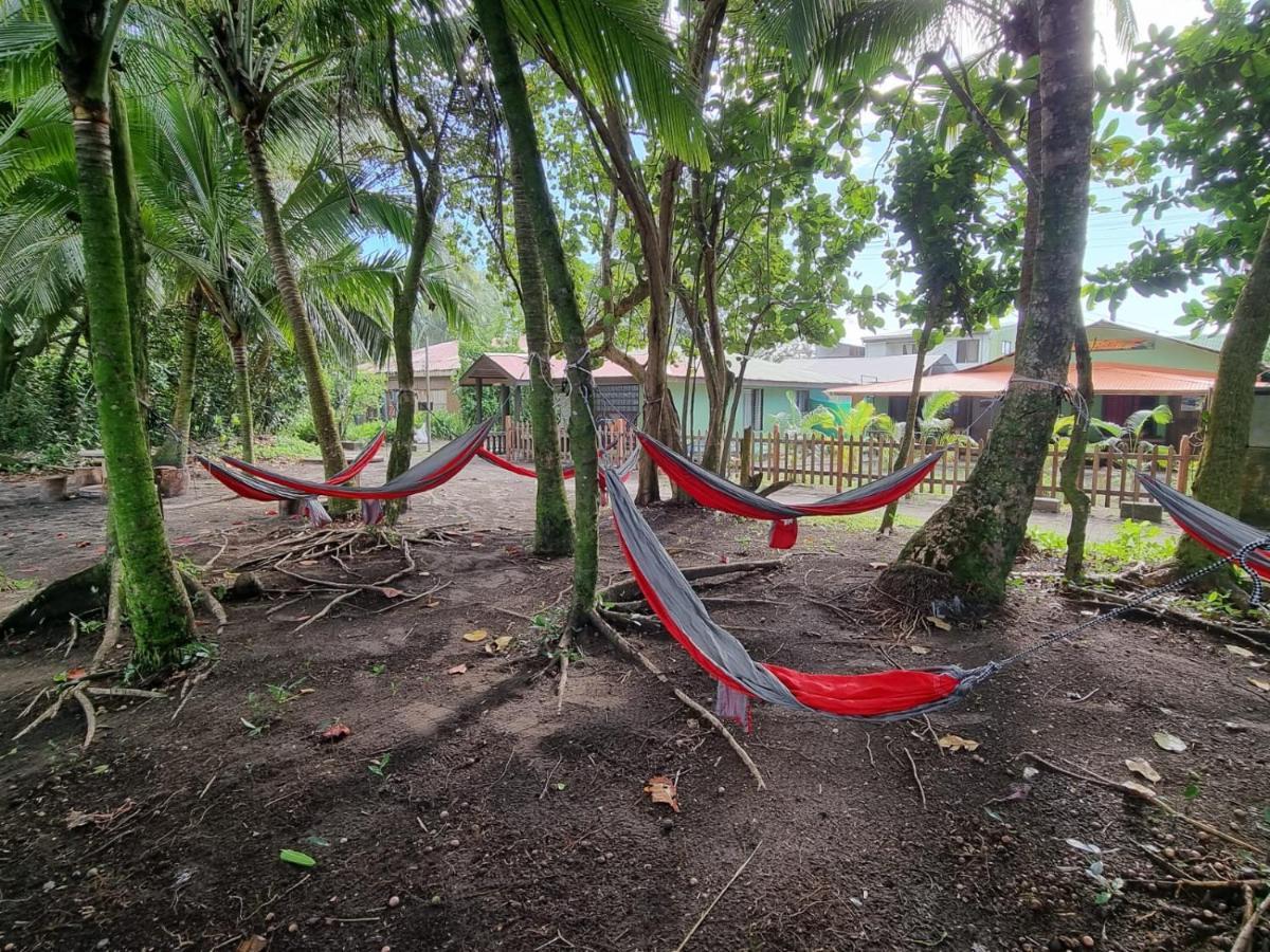 Caribbean View Apartment Tortuguero Exterior photo