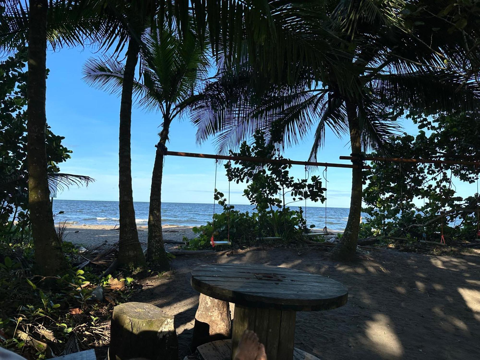 Caribbean View Apartment Tortuguero Exterior photo